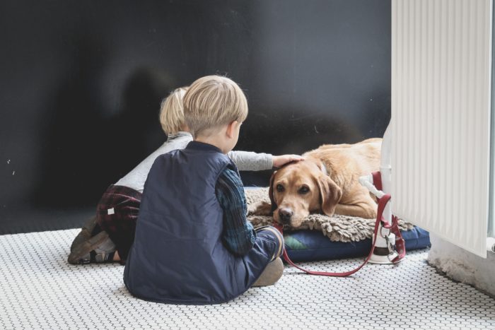 explaining-the-death-of-a-pet-to-your-children-corporate-office