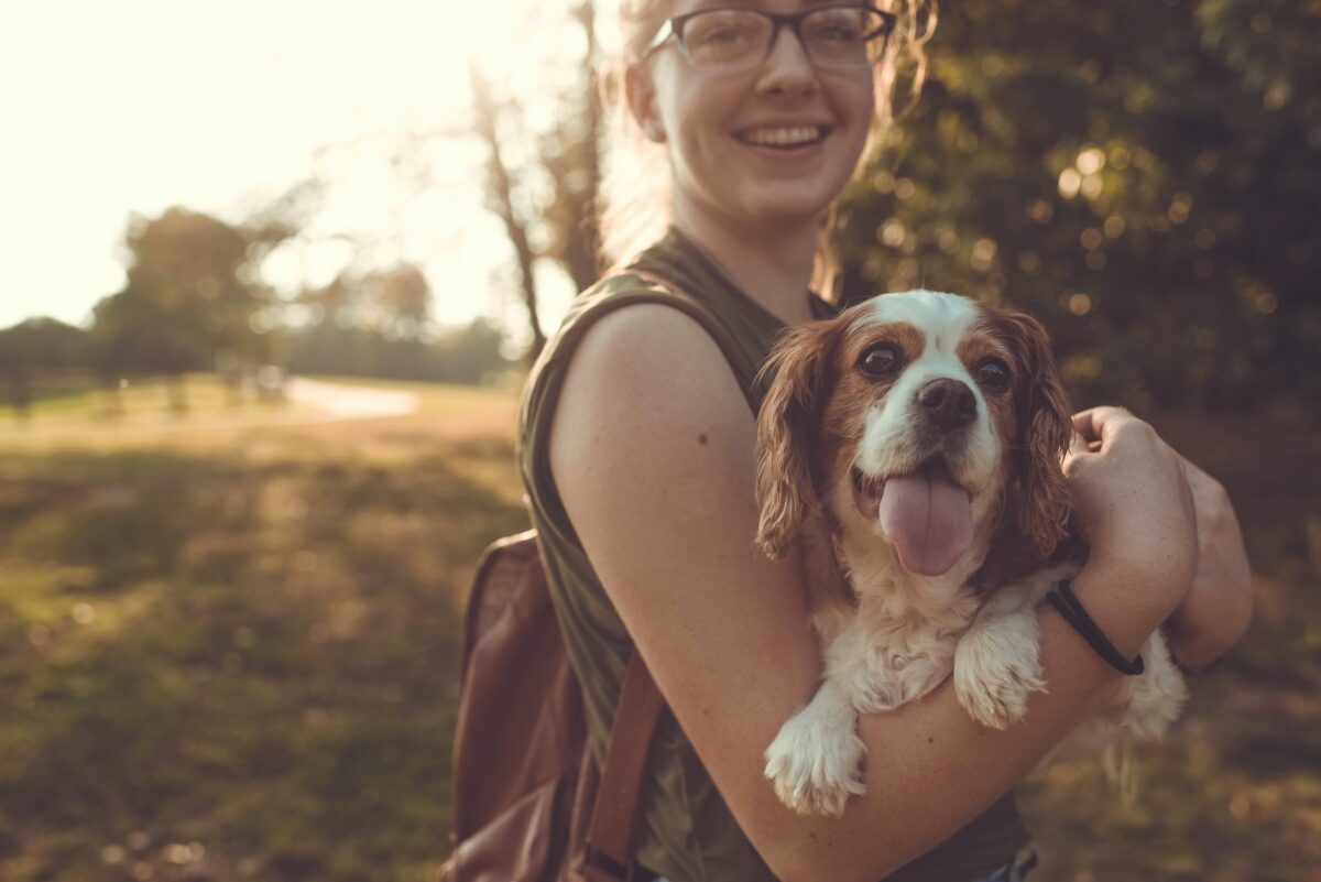 Caring for a Pet With Mobility Loss