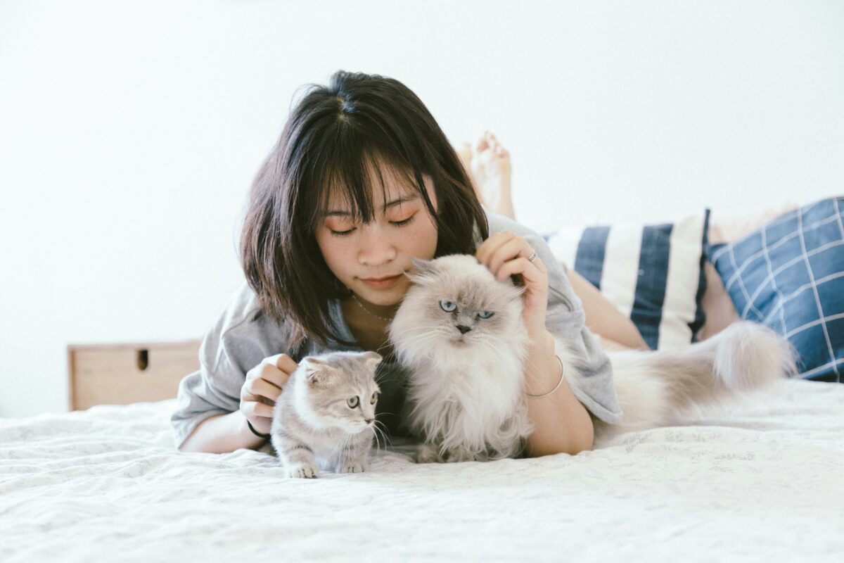 Pet Emergency Preparedness Plan